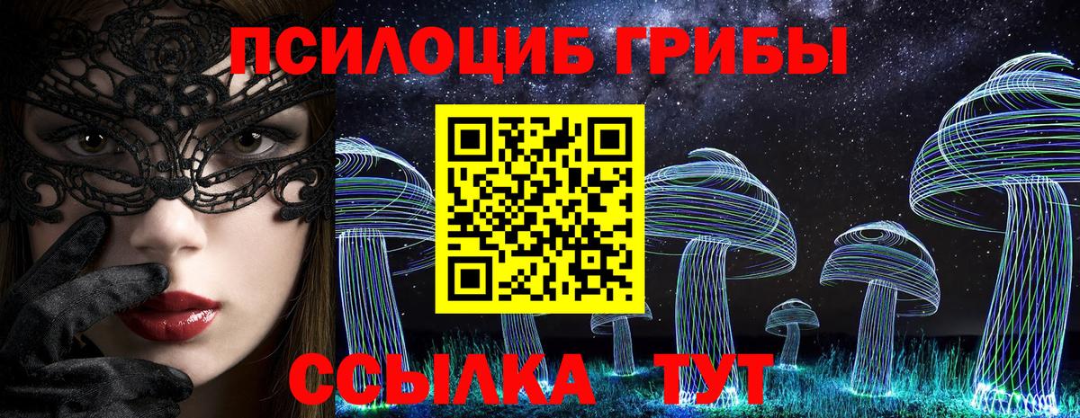 Узловая  Галлюциногенные грибы MAGIC MUSHROOMS  Псилоцибиновые грибы GOLDEN TEACHER  цены   Вход с VPN 