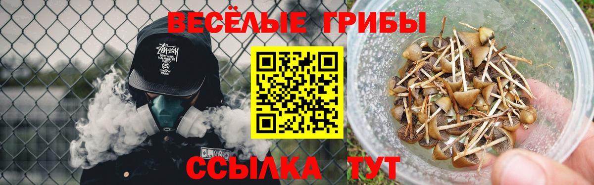 Галлюциногенные грибы GOLDEN TEACHER Узловая